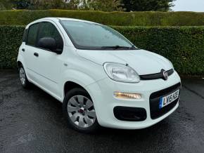 FIAT PANDA 2015 (15) at Eastwood Motors Ltd Lisburn