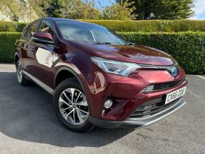 TOYOTA RAV4 2016 (66) at Eastwood Motors Ltd Lisburn